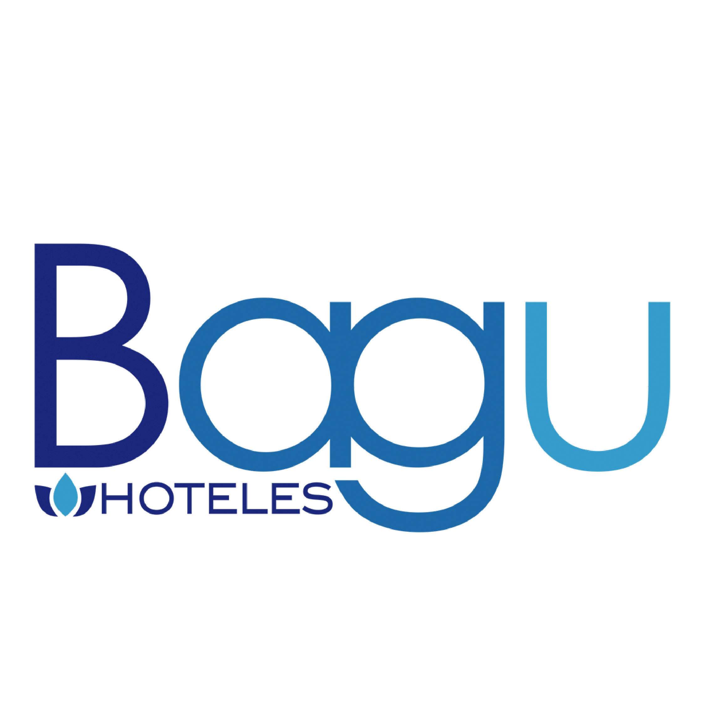 Logo-Bagu-Hoteles-2